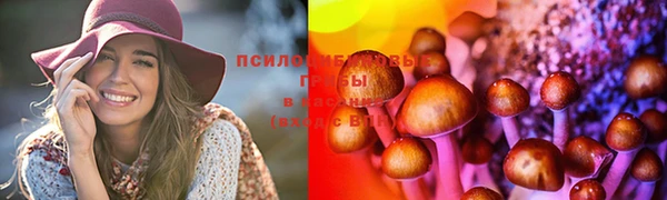 дживик Белоозёрский