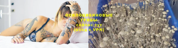 прущая мука Балабаново