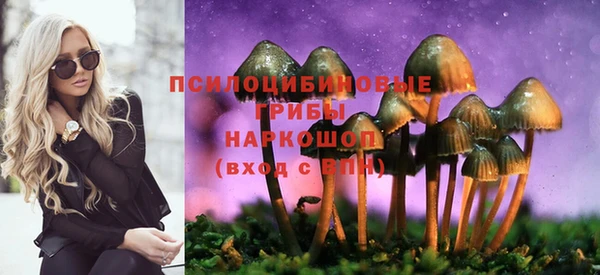MDMA Белокуриха