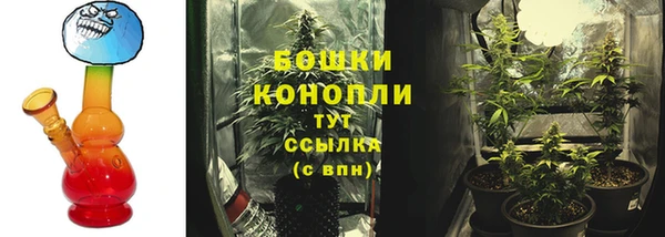 спайс Баксан