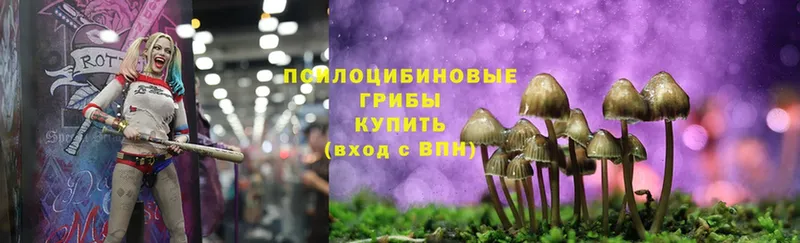 Галлюциногенные грибы MAGIC MUSHROOMS  Высоковск 