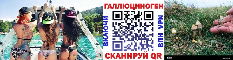 Галлюциногенные грибы Cubensis  магазин продажи наркотиков  Высоковск 
